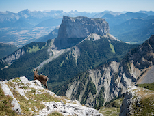 Vercors